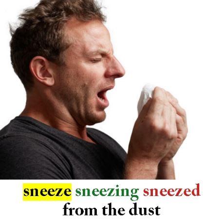 Sneeze